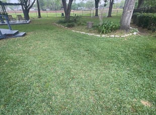 Rhonda B.'s grass maintenance service result