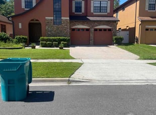 Theresa M.'s turf care service result