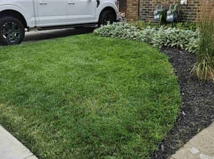 Jon H.'s grass maintenance service result