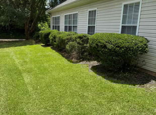 Charlie W.'s lawn care services service result