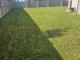 Paul P.'s lawn care services service result