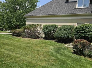 Rodney A.'s Bush Trimming service result