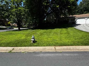 Amy H.'s lawn maintenance service result