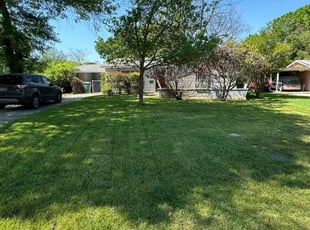 Maria R.'s lawn maintenance service result