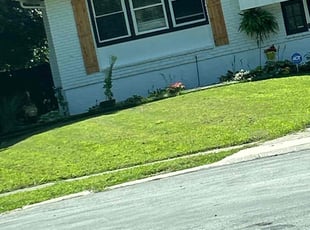 James W.'s lawn maintenance service result