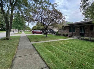 Debbie S.'s lawn care service result