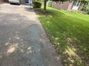 Chuck B.'s lawn service service result