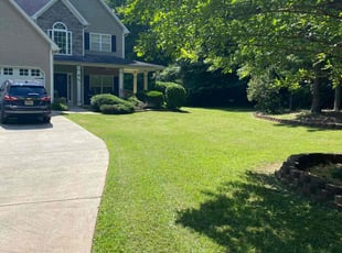 Tasheka A.'s lawn care services service result