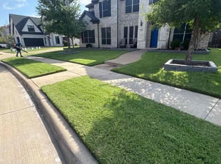 George T.'s lawn service service result