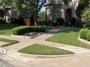 Chris W.'s lawn maintenance service result