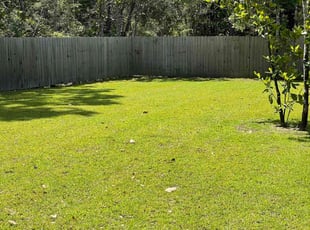 Keyana S.'s grass maintenance service result
