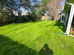 Frank O.'s lawn care services service result