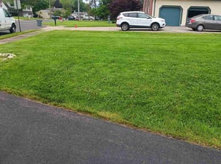 Latoya T.'s lawn maintenance service result