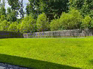 Maria K.'s grass maintenance service result