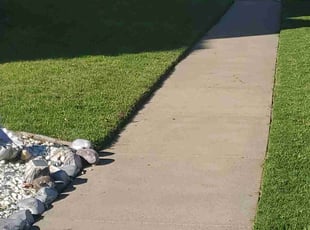 Jamie T.'s lawn care service result