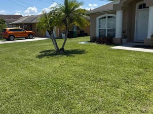 Dave K.'s lawn maintenance service result