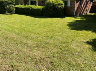Michael T.'s turf care service result