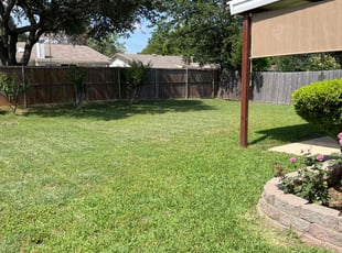 Armina F.'s turf care service result