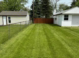Jennifer D.'s lawn service service result