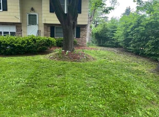 William M.'s grass cutting service result