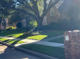 James M.'s grass cutting service result