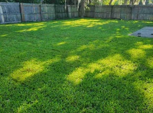 Wallace T.'s turf care service result