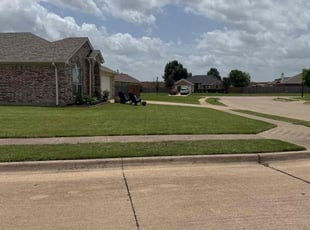 Sandraliz M.'s lawn care services service result