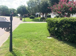 Jackson V.'s lawn maintenance service result