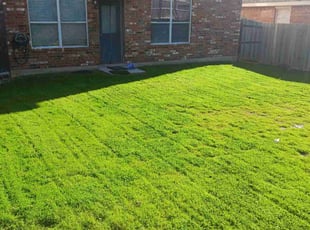 Jazmin M.'s lawn care service result