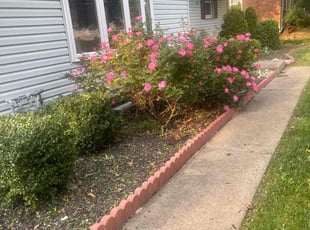 Lance M.'s Bush Trimming service result