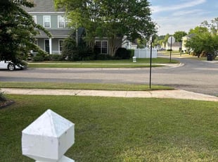Phil P.'s grass maintenance service result