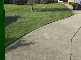 Todd T.'s lawn maintenance service result