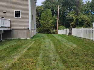 Valencia H.'s lawn care services service result