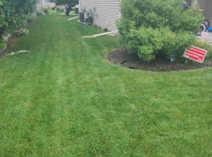 Angelica R.'s lawn maintenance service result