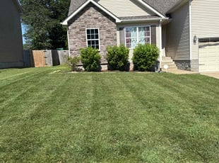 Adam J.'s lawn service service result