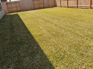 May W.'s grass maintenance service result