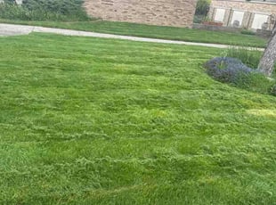 Carolyn C.'s turf care service result