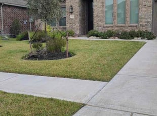 Kyle L.'s lawn maintenance service result