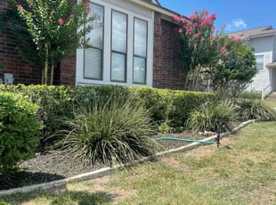 Rich C.'s Bush Trimming service result