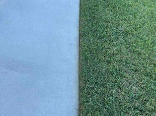 John S.'s lawn service service result