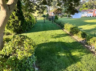 Ek K.'s turf care service result