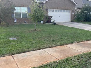 Ligaya A.'s lawn care services service result