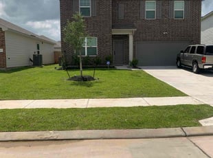 Daniela A.'s lawn care services service result
