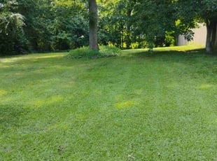 Lindsey M.'s lawn care services service result