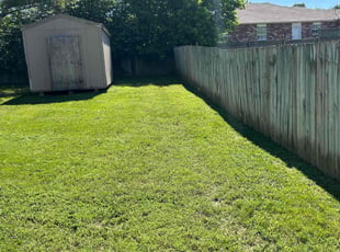 Jamin H.'s grass maintenance service result