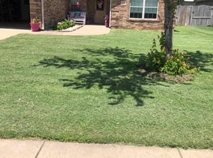 Tamra S.'s lawn care service result