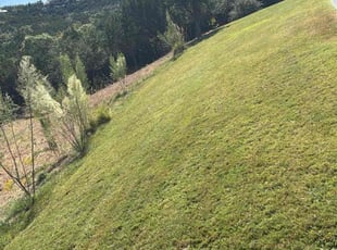 Jeff W.'s lawn care service result