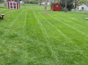 C. A.'s lawn care services service result