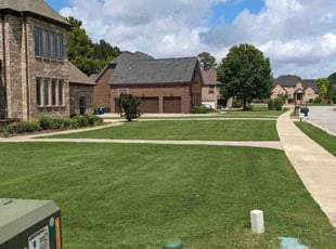 Richard M.'s turf maintenance service result