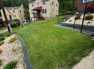 Ciara L.'s lawn care service result